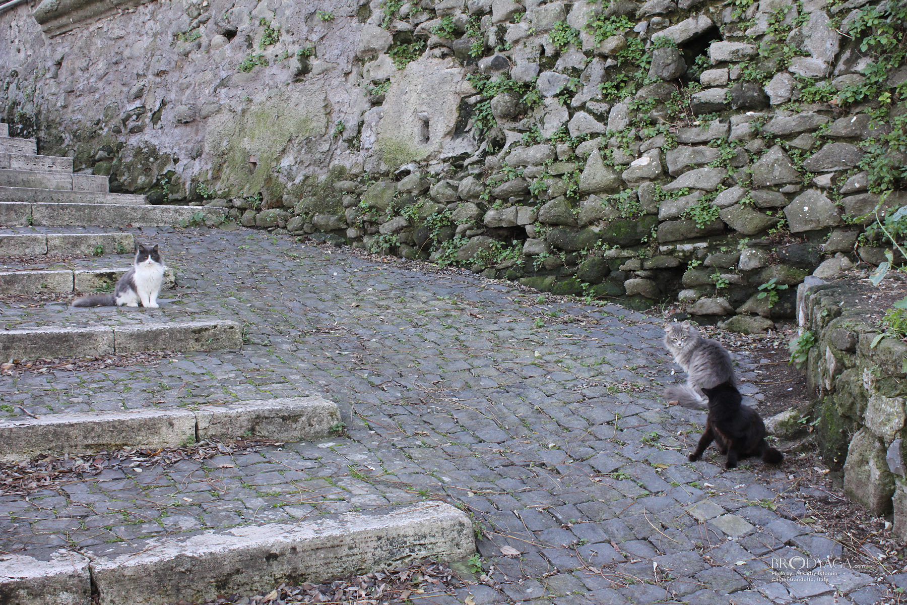 Castel Gandolfo